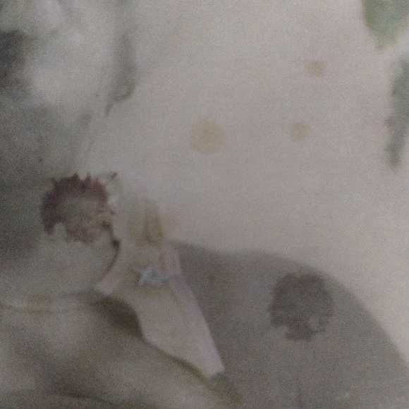 Jim Croce - Picture 5 of 5